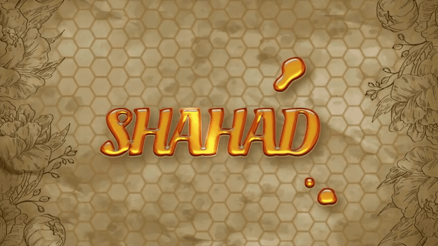 Shahad P02 Hot Hindi Web Series – ULLU